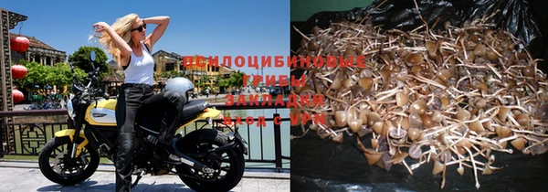 apvp Абинск