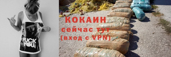 твердый Абаза