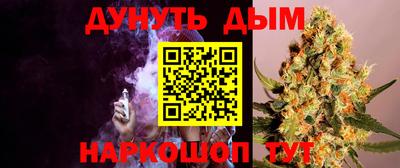 стаф Гусев
