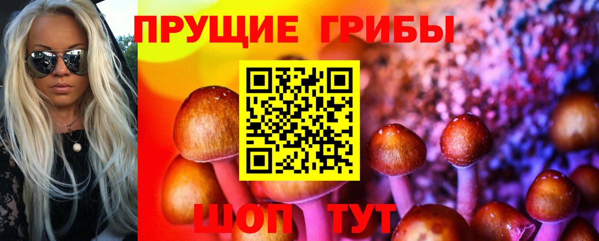 Галлюциногенные грибы Cubensis Благодарный